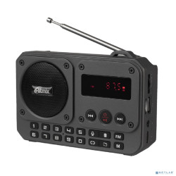 RITMIX RPR-010