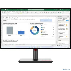 LCD Lenovo 27" P27h-30 ThinkVision черный {IPS 2560x1440 60Hz 6ms 16:9 1000:1 350cd 178/178 DVI HDMI DisplayPort HAS Pivot USB}