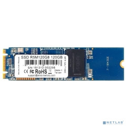 AMD SSD 120GB Radeon R5 Client, M.2, R5M120G8