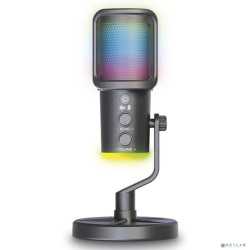 RITMIX RDM-178 USB Gaming Black {подк Type-C - USB A / Type-C, Jack 3,5 мм на наушники, подсветка, шумоподавление; размеры микрофона: 5 * 15* 5 см}