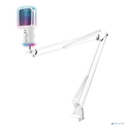 RITMIX RDM-278 USB Gaming White {Подключение  Type-C - USB A / Type-C, Jack 3,5 мм на наушники; размеры микрофона: 5 * 15* 5 см}