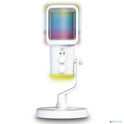 RITMIX RDM-178 USB Gaming White {подкл. Type-C - USB A / Type-C, Jack 3,5 мм на наушники, подсветка, шумоподавление; размеры микрофона: 5 * 15* 5 см}