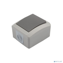 Rexant KR-78-0608  Выключатель одноклавишный KRANZ INDUSTRIAL открытой установки, IP54 серый