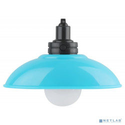 ЭРА Б0051475 Ночник - светильник светодиодный NLED-487-1W-SW-BU настенный на батарейках с выключателем голубой