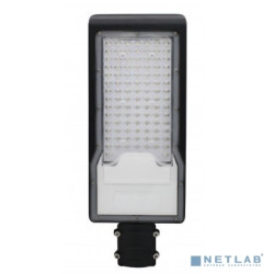 Rexant 607-303 Светильник светодиодный консольный ДКУ 02-100-5000К-Ш асимметричный IP65 черный
