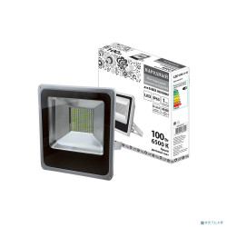 TDM SQ0336-0210 Прожектор светодиодный СДО100-2-Н 100 Вт, 6500 К, серый