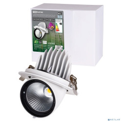 TDM SQ0369-0405 Светильник встраиваемый поворотный "Акцент-1" LED DSL-01-040-NW 40 Вт, 24°, 4000 К, 90 Ra, IP40, TDM