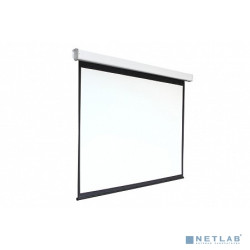 Digis Electra-F [DSEF-1107] Экран настенный с электроприводом  формат формат 1:1, 118", 219x222, рабочая поверхность 213x213, MW
