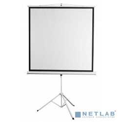 Digis Kontur-D [DSKD-4304] Экран на штативе формат 4:3, 120", 248x190, рабочая поверхность 240x180, MW