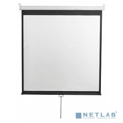 Digis Optimal-D [DSOD-1108] Экран настенный, формат 1:1, 167", 308x309, рабочая поверхность 300x300, MW
