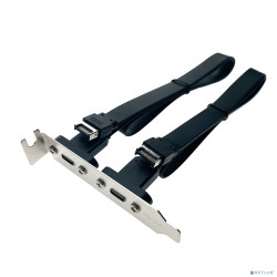 Espada Планка в корпус USB C 3.2 Gen2x2 2 порта, EbrLow22, 20Gbps низкопрофильная (46002)