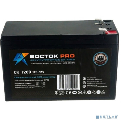 Аккумуляторная батарея Восток Pro СК 1209