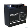 Security Force